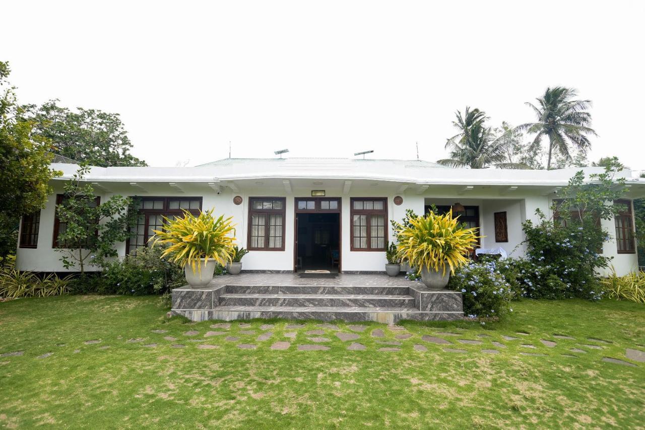 Man Mountain Villa Matale Exteriör bild